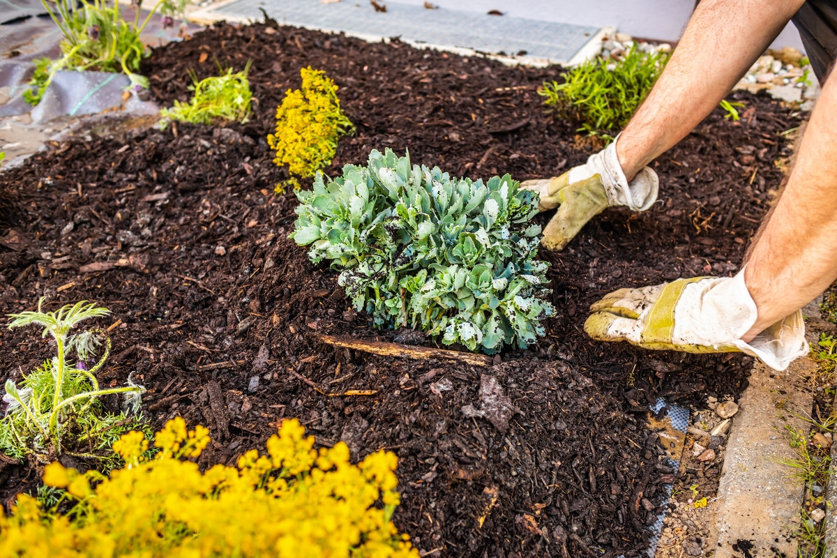 Cette astuce de jardinage doit être réalisée avant les premières gelées