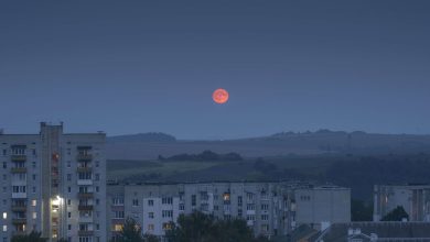 pour les 1000 jours de guerre en Ukraine, les doutes des habitants de Lviv