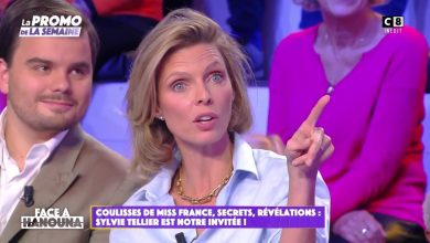 Miss France 2025 : Sylvie Tellier annonce le nom de sa candidate préférée et ce n’est pas vraiment une surprise !