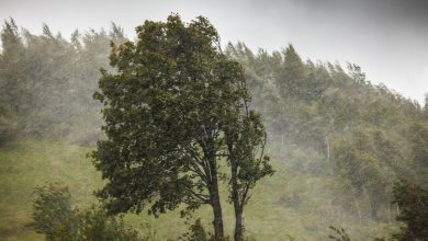 Coups de vent, pluie, inondations… 70 départements placés en alerte ce mardi