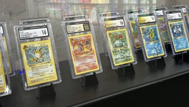 Il « s’est accroché au capot de la voiture » pendant près de 2 km : la vente de cartes Pokémon dégénère, l’acheteur tente de s’enfuir avec les 5 600 € de marchandise