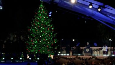 images de Joe Biden allumant pour la dernière fois le sapin de Noël national à Washington