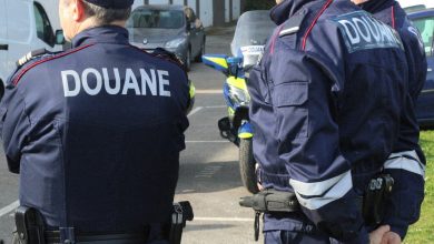 les douanes inspectent des poteaux en acier mal soudés et font une étrange découverte