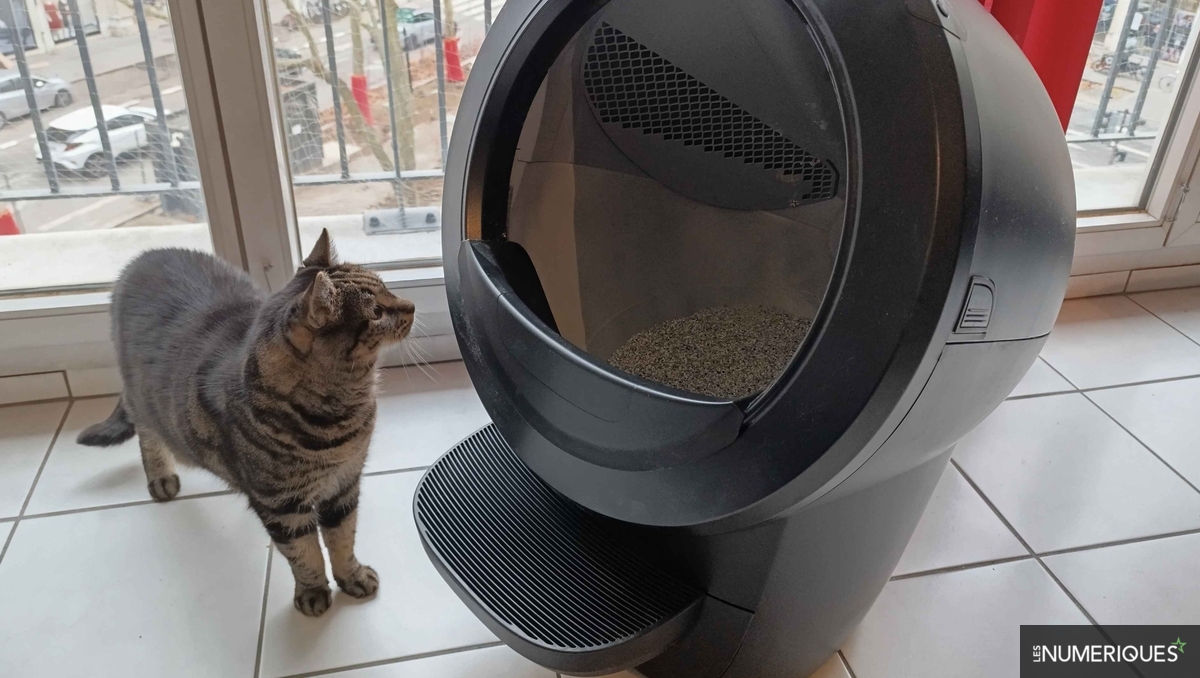 Test Whisker Litter-Robot 4 : un bac à litière connecté efficace pour oublier les corvées