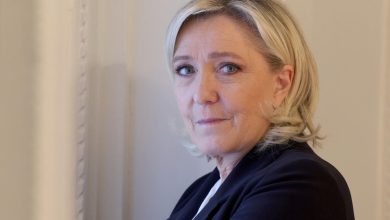 Marine Le Pen : « Je me prépare à une élection présidentielle anticipée »