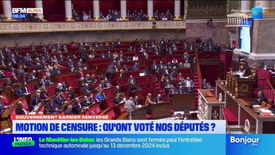 Motion de censure : qu’ont voté les députés des Alpes du Sud ?