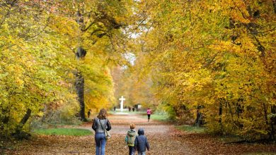 Travailler à Paris, vivre ailleurs en France : immobilier, qualité de vie… notre classement des villes où s’installer