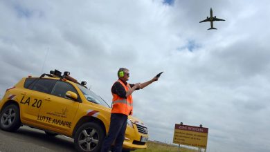 comment les aéroports français se prémunissent contre les risques liés aux oiseaux ?