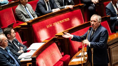 François Bayrou invite jeudi les chefs de groupes et partis parlementaires, hors RN et LFI, à Matignon pour leur présenter ses orientations politiques