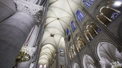 Patrimoine. Notre-Dame : intensité, coloration, programmes… un système d’éclairage unique