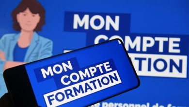 Sociale. Dix ans du CPF : « En offrant la possibilité de se former, nous avons créé un marché »